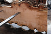 Big Leaf Maple Slab 101024-4