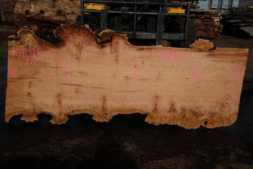 Big Leaf Maple Slab 101024-4