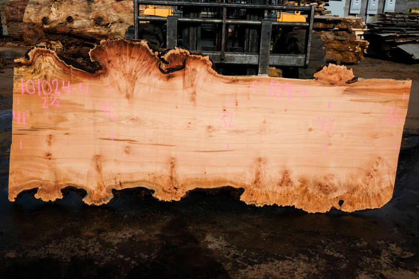 Big Leaf Maple Slab 101024-4