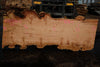Big Leaf Maple Slab 101024-4