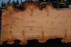 Big Leaf Maple Slab 101024-4