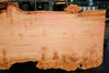 Big Leaf Maple Slab 101024-4
