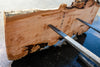 Big Leaf Maple Slab 101024-5