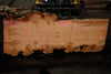Big Leaf Maple Slab 101024-5