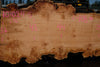 Big Leaf Maple Slab 101024-5