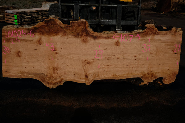 Big Leaf Maple Slab 101024-6