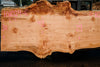 Big Leaf Maple Slab 101024-6