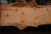 Big Leaf Maple Slab 101024-6
