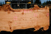 Big Leaf Maple Slab 101024-6