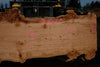 Big Leaf Maple Slab 101024-6