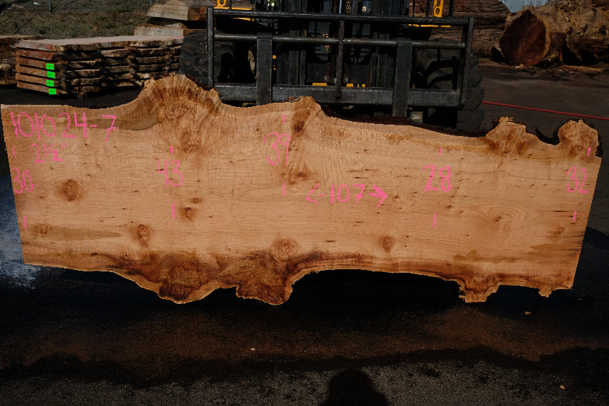 Big Leaf Maple Slab 101024-7