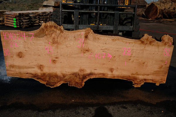 Big Leaf Maple Slab 101024-7