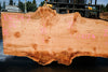 Big Leaf Maple Slab 101024-7