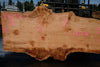 Big Leaf Maple Slab 101024-7