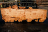 Big Leaf Maple Slab 101024-8