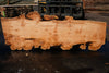 Big Leaf Maple Slab 101024-8