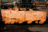 Big Leaf Maple Slab 101024-8