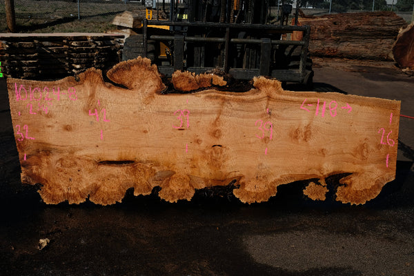 Big Leaf Maple Slab 101024-8