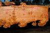 Big Leaf Maple Slab 101024-8