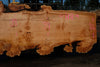 Big Leaf Maple Slab 101024-8