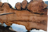 Big Leaf Maple Slab 101024-9