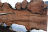 Big Leaf Maple Slab 101024-9