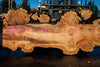Big Leaf Maple Slab 101024-9