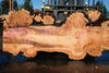 Big Leaf Maple Slab 101024-9