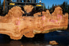 Big Leaf Maple Slab 101024-9