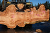 Big Leaf Maple Slab 101024-9