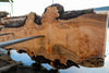 Big Leaf Maple Slab 101024-11