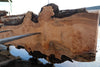 Big Leaf Maple Slab 101024-11