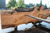 Big Leaf Maple Slab 101024-11
