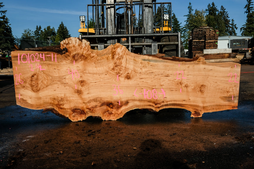 Big Leaf Maple Slab 101024-11