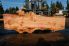 Big Leaf Maple Slab 101024-11