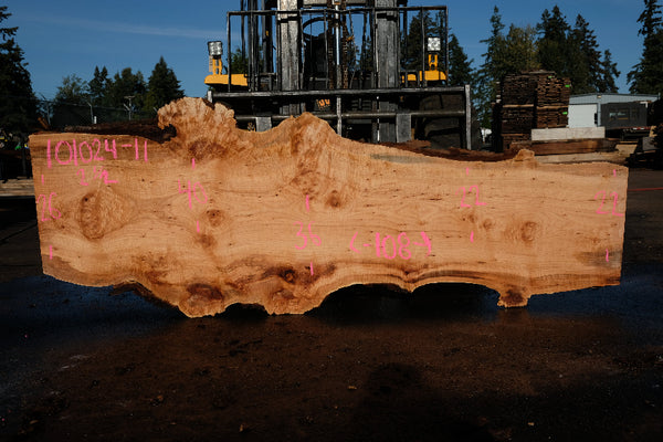 Big Leaf Maple Slab 101024-11