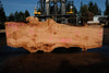 Big Leaf Maple Slab 101024-11