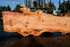 Big Leaf Maple Slab 101024-11