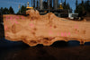 Big Leaf Maple Slab 101024-11