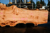 Big Leaf Maple Slab 101024-11