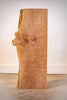 Big Leaf Maple Board B10164