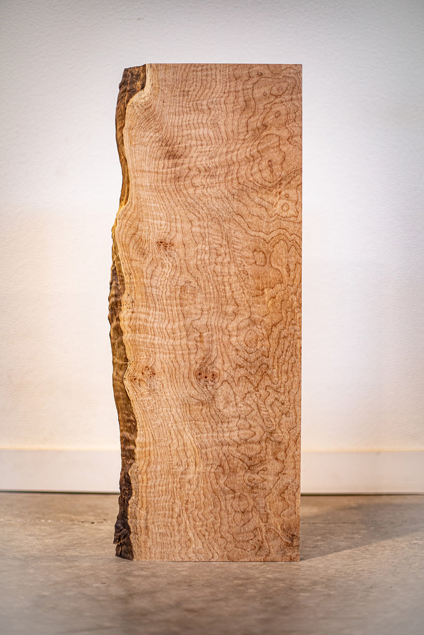 Big Leaf Maple Board B10165