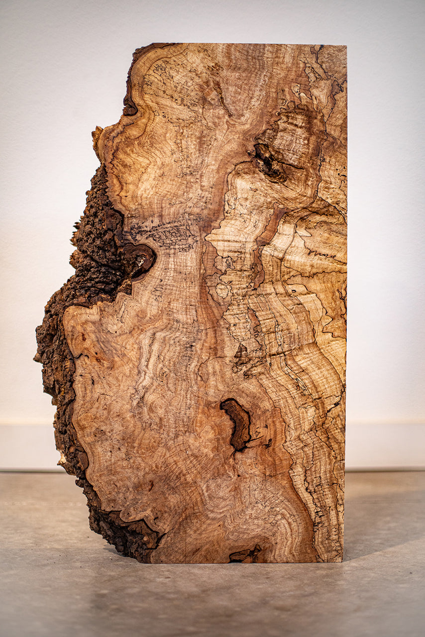Big Leaf Maple Burl Board B10219