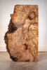 Big Leaf Maple Burl Board B10219