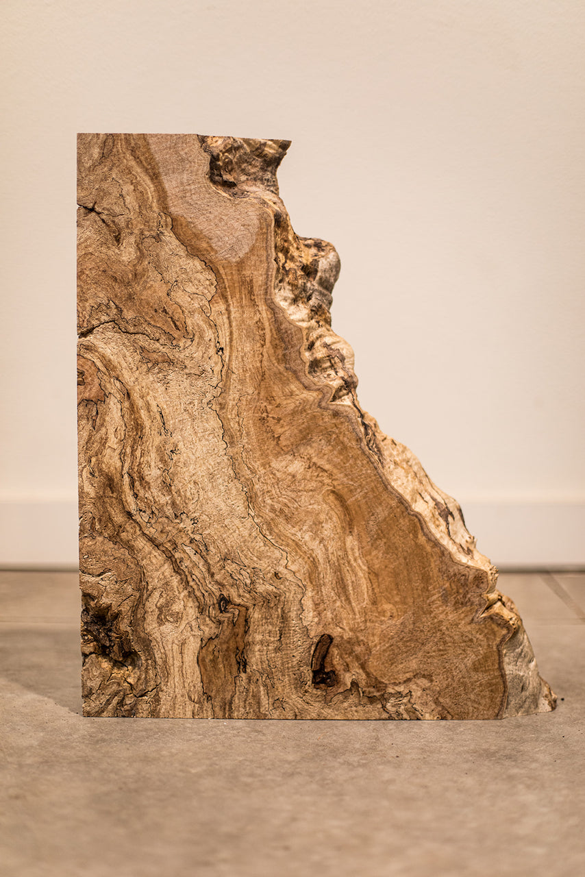 Big Leaf Maple Burl Board B10221