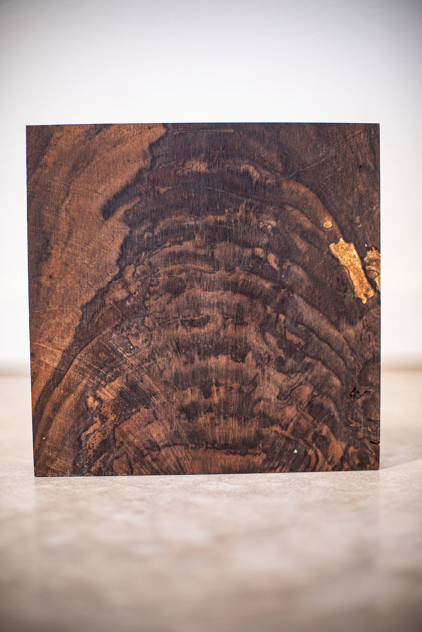 Oregon Black Walnut Board TB10238
