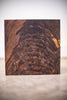Oregon Black Walnut Board TB10238