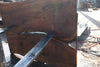 Oregon Black Walnut Slab 102424-1