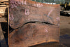 Oregon Black Walnut Slab 102424-1