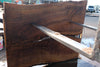 Oregon Black Walnut Slab 102424-2